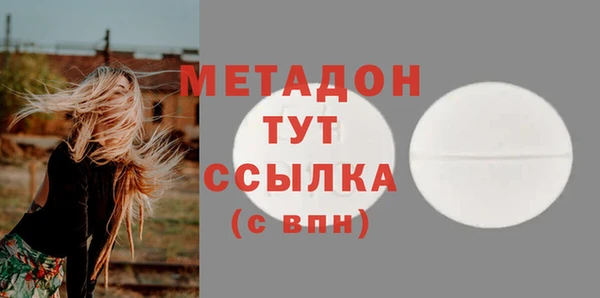 сатива Аркадак