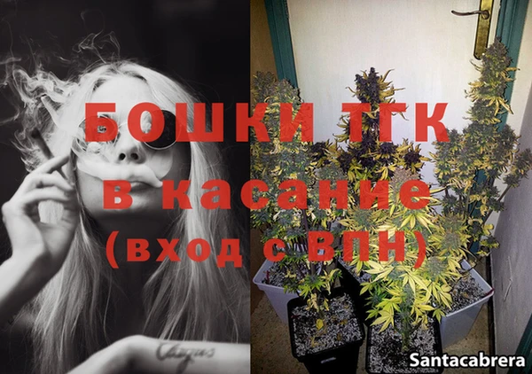 сатива Аркадак