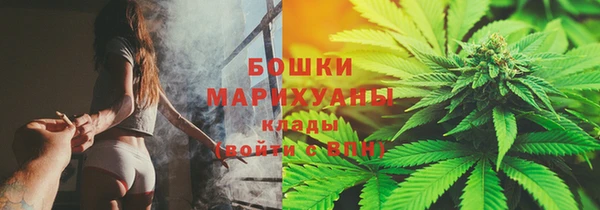сатива Аркадак