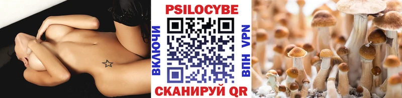 Псилоцибиновые грибы Cubensis  это наркотические препараты  Учалы  купить  