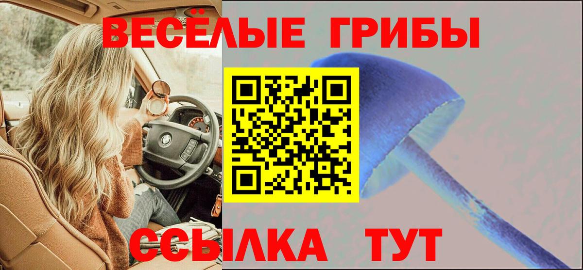 где купить наркоту  Псилоцибиновые грибы Psilocybine cubensis  Вход с VPN  Учалы  Галлюциногенные грибы Psilocybine cubensis 