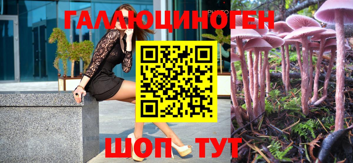 Галлюциногенные грибы мицелий Учалы